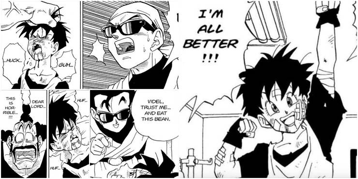 Dragon Ball 10 Things About Senzu Beans That Make No Sense Dragon Ball 10 Things About Senzu Beans That Make No Sense